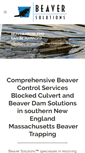 Mobile Screenshot of beaversolutions.com